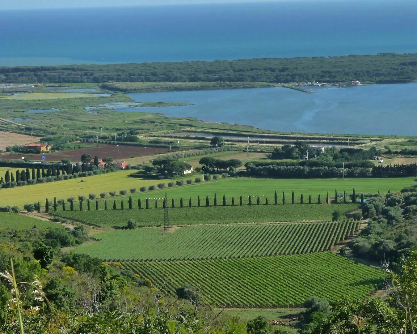 Agriturismo Fattoria Il Casalone Orbetello Farm stay