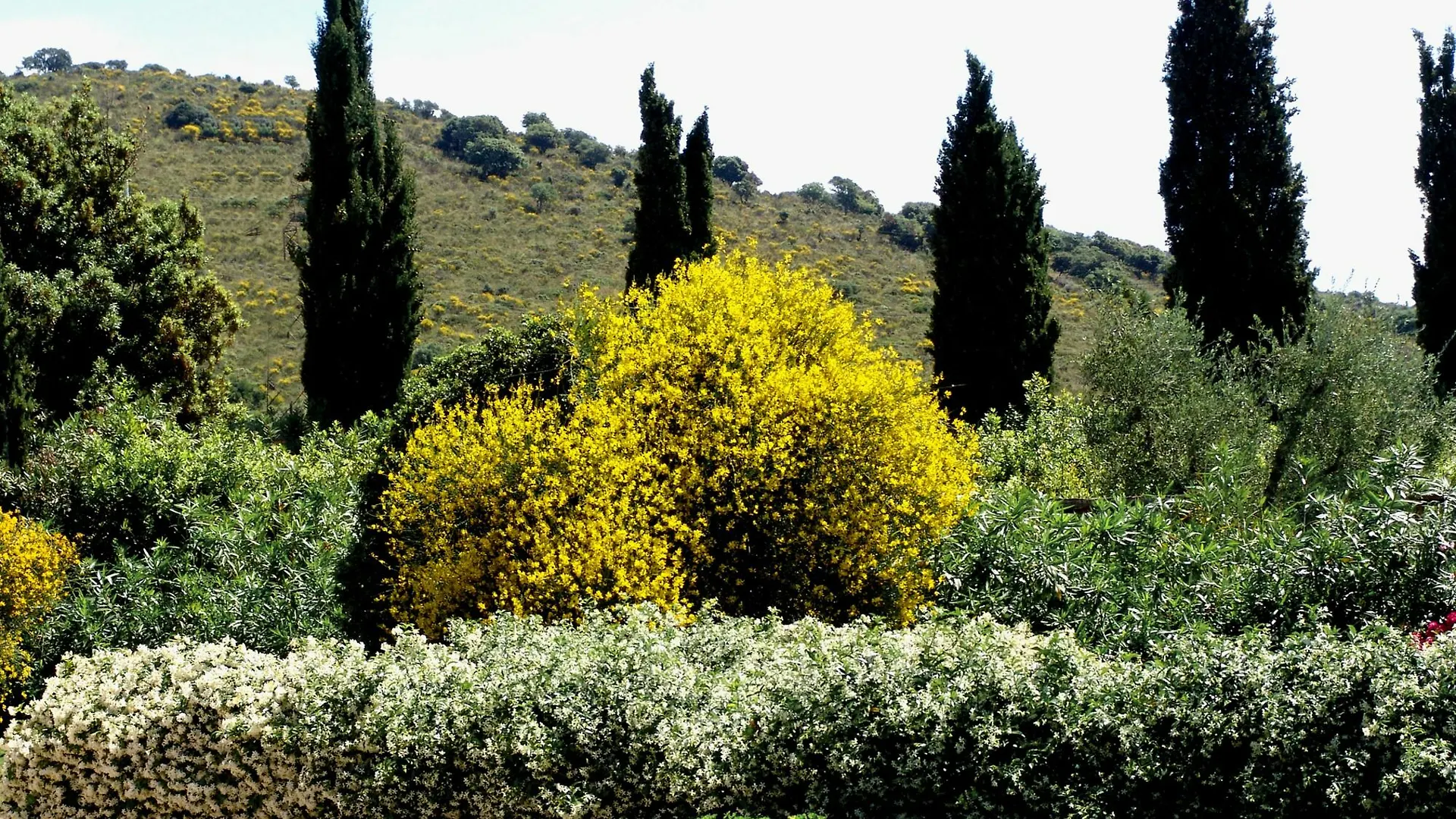 Agriturismo Fattoria Il Casalone Orbetello 0*,  Italy