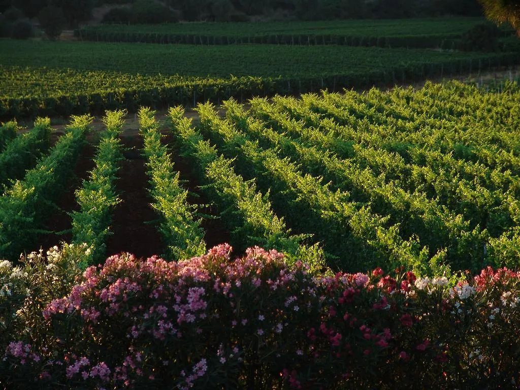 Alloggio per agriturismo Agriturismo Fattoria Il Casalone Orbetello Italia